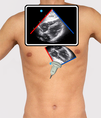 Image from FAST e-learning programme